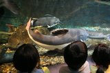 水族館