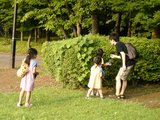 蝉の抜け殻探し