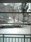 雪