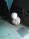 image 0